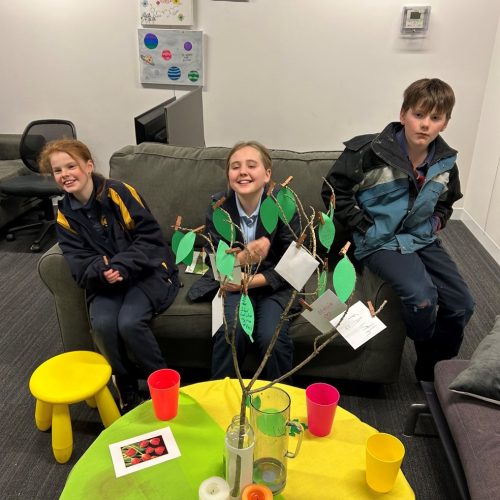 seasons for growth a